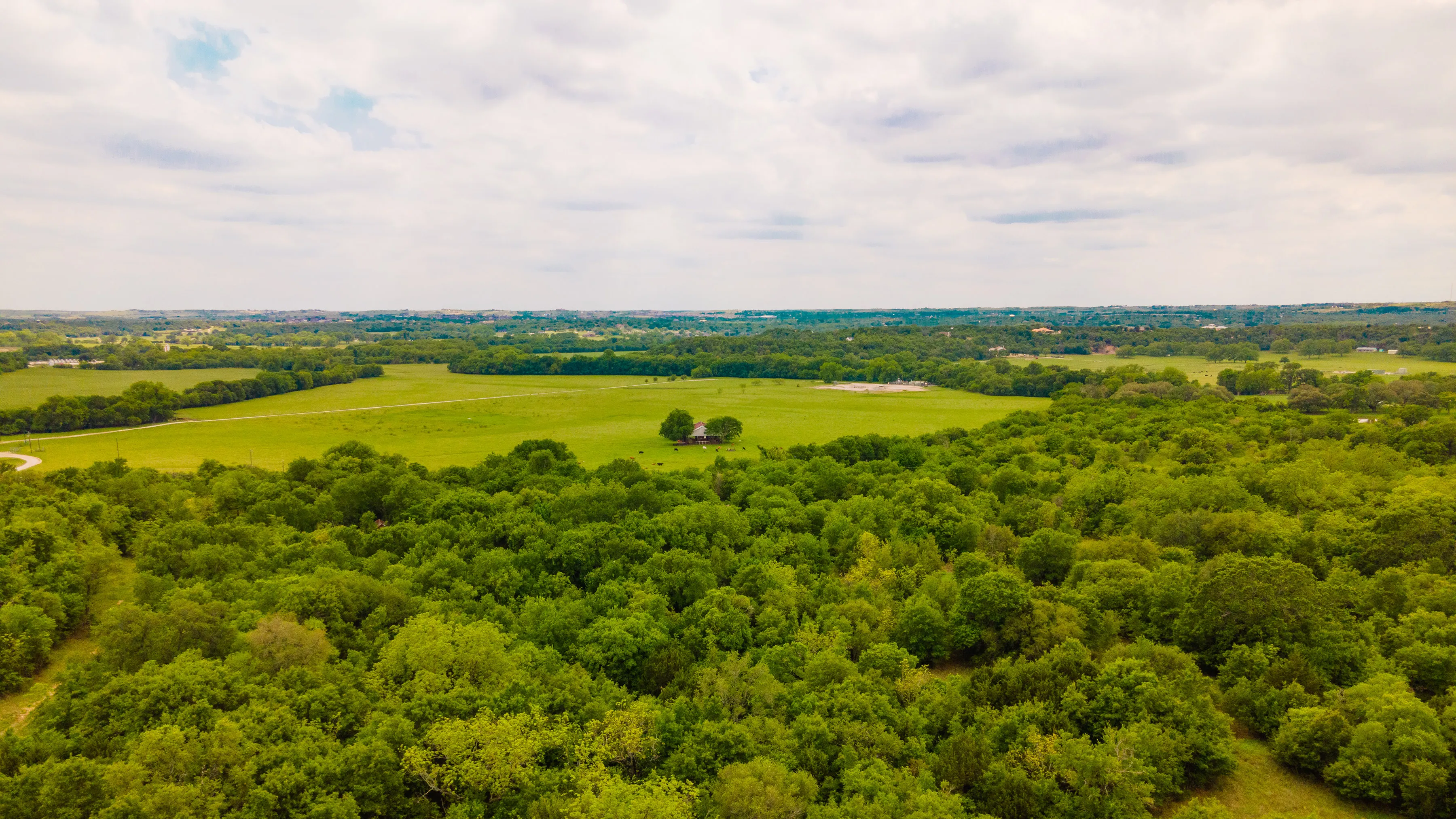 Aerial view of Aledo River — green pasture and tree cover with the Parker County horizon beyond.